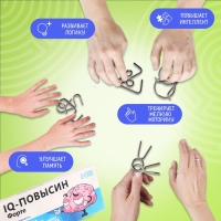 Набор головоломок &laquo;IQ-повысин&raquo;, 4 шт.