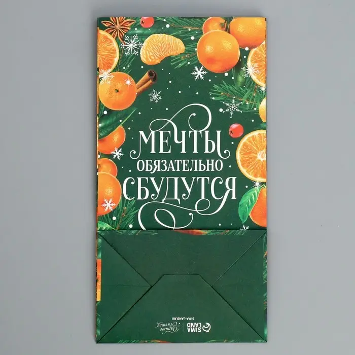 Пакет без ручек &laquo;Мечты обязательно сбудутся&raquo;, мандарины, 10 х 19.5 х 7 см, Новый год