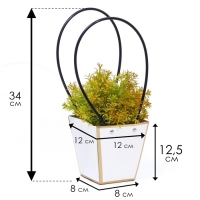 Сумка для цветов &laquo;Белая&raquo;, с тиснением, влагостойкая, 12 x 12 - 8 x 8 - 12,5 см