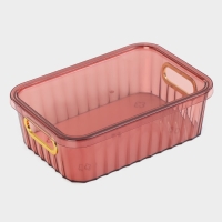 Контейнер для хранения с крышкой &laquo;Грани&raquo;, 25,5&times;18&times;8 см, цвет МИКС