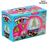 Набор для опытов &laquo;Мой минисад&raquo;, выращивание травки, своими руками