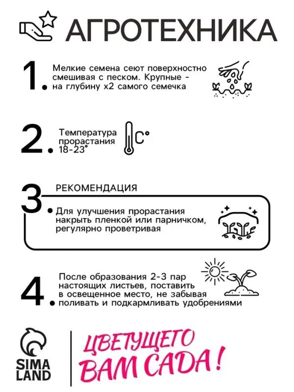 Семена Астра Контрастер, смесь окрасок