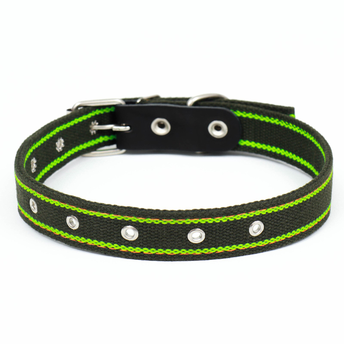 Ошейник брезентовый безразмерный двухслойный, хаки/зелёный, 67 х 3 см, ОШ до 55 см