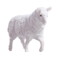 Набор животных &laquo;Моя ферма&raquo;, 6 фигурок