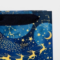 Пакет под бутылку &laquo;Новогодний космос&raquo;, 13 х 36 х 10 см, Новый год