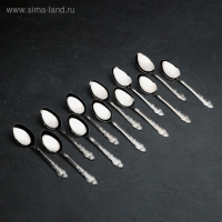 Ложки столовые из нержавеющей стали &laquo;Русиано&raquo;, длина 19 см, 12 шт