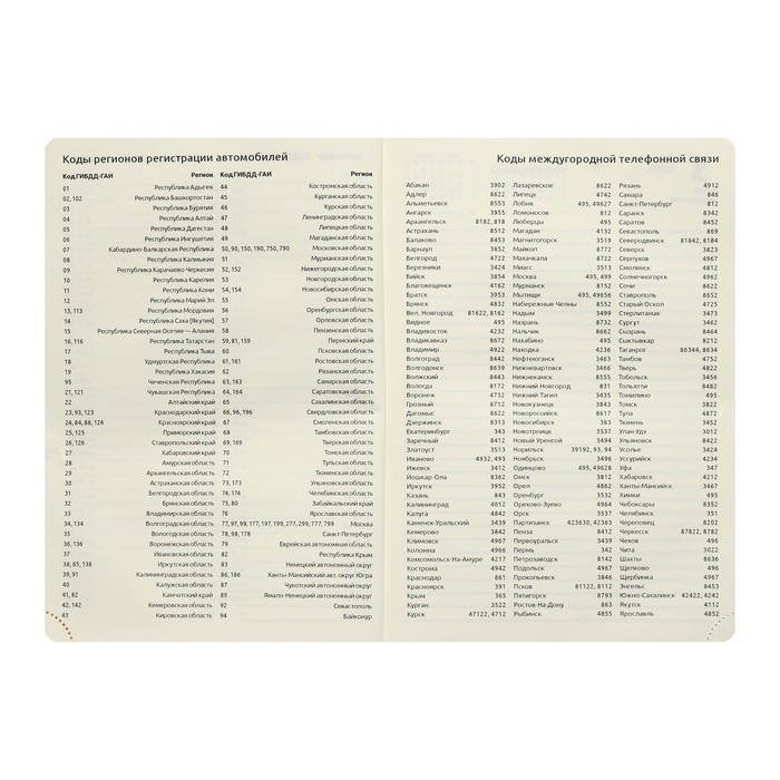 Ежедневник датированный 2024 A5 176 листов, deVENTE.I Love Cat, твёрдая обложка из искусственной кожи, тиснение фольгой, ляссе, кремовый блок 70 г/м2, мятный