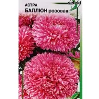 Семена цветов Астра Баллюн розовая 30 шт
