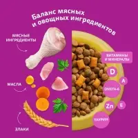 Сухой корм Whiskas для кошек, курица/индейка, подушечки, 1,3 кг