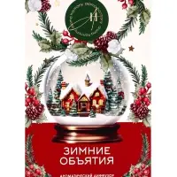 Диффузор ароматический  "Зимние объятия" 50 мл (открытка)