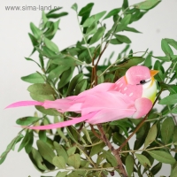 Птичка для декора и флористики, на прищепке, МИКС, пластиковая, 1шт., 8 х 8 см