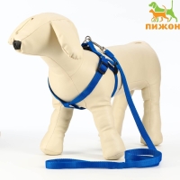 Комплект &laquo;Базис&raquo;, поводок 120&times;1.5 см, шлейка 32-46&times;1.5 см, синий