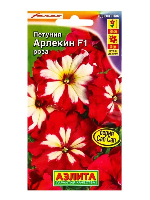 Семена цветов Петуния Арлекин Роза F1 крупноцветковая  (драже в пробирке) С. Farao, Ц/П,5 шт. 109456