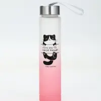 Бутылка для воды &laquo;Котя&raquo;, 300 мл