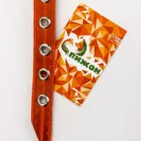 Ошейник кожаный однослойный украшенный, 1,2 см, ОШ 20-26 см микс цветов