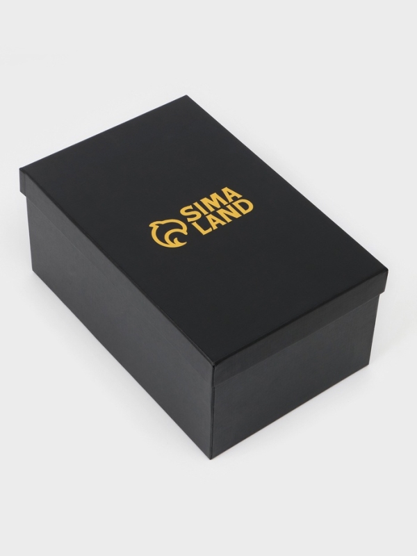 Пивной бокал 500 мл "Рыбы", подарочный, бронза