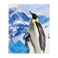 Комплект тетрадей из 4 штук, 96 листов в клетку Calligrata "Животные", обложка мелованный картон, блок №2, белизна 75% (серые листы)