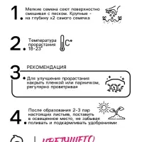 Семена Агератум &laquo;Красный букет&raquo;, 0.05 г, &laquo;Семена Алтая&raquo;