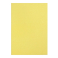 Бумага цветная бархатная А5, 10 листов, 10 цветов Мульти-Пульти, в папке