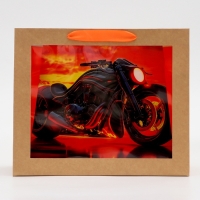 Пакет с PVC окном, "Лучшему мужчине", 31 х 11 х 26 см