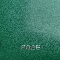 Ежедневник датированный 2024 года, А5, 176 листов, Attomex.Orion, обложка бумвинил, ляссе, блок 70 г/м2, зелёный