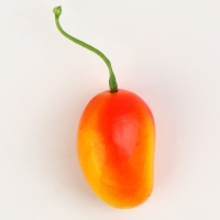 Декор &laquo;Манго&raquo;, набор 50 шт., размер 4,2&times;2,5 см