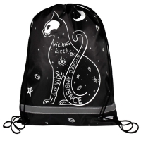 Мешок для обуви 480 х 360 мм, Феникс, шелкография, светоотражающая полоса, "Астрокот"