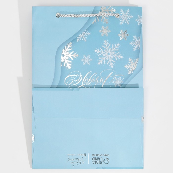 Пакет подарочный новогодний ламинированный &laquo;Лёд&raquo;, 21 х 30 х 15 см, Новый год