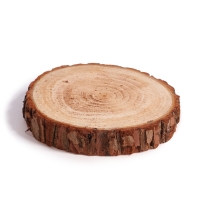 Роспись и лепка по дереву для детей. Набор для творчества &laquo;Народные мотивы&raquo;