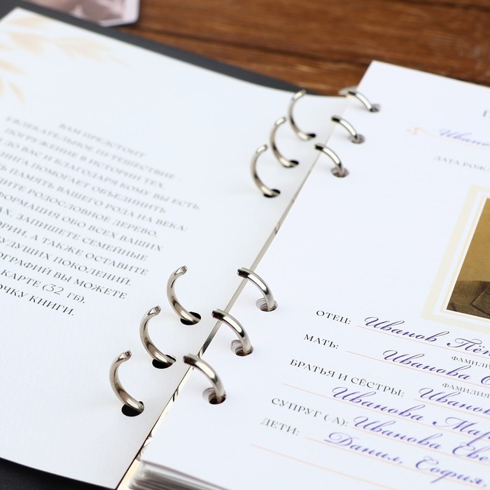 Родословная книга со встроенной флешкой 16 Gb &laquo;Книга всей семьи&raquo;, 17,5 х 23 см.