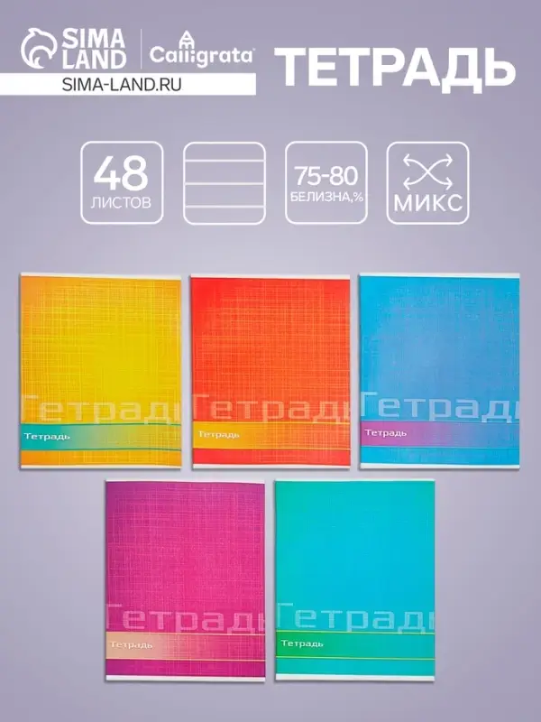 Тетрадь 48 листов в линейку Calligrata &laquo;Цвет и графика&raquo;, обложка мелованная бумага, блок №2, белизна 75% (серые листы), МИКС
