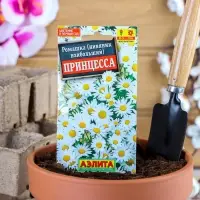 Семена цветов Ромашка садовая "Принцесса", 0,2 г