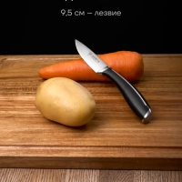 Набор кухонных ножей из 4 предметов Stein 4SS