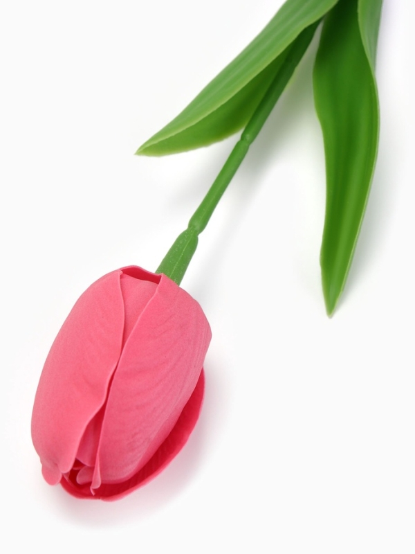 Мыльный розовый тюльпан в коробке