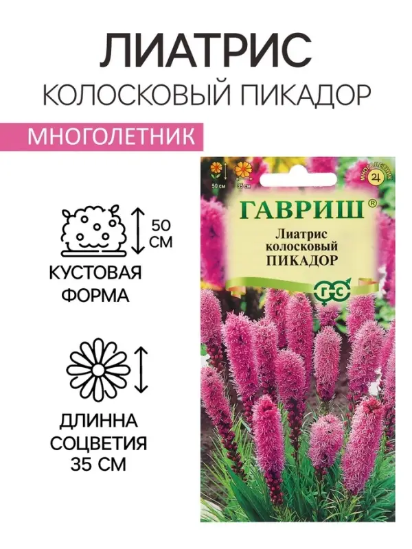 Семена Лиатрис "Пикадор", ц/п,  0,05 г