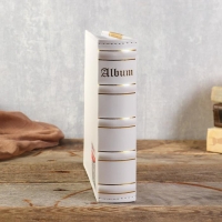 Фотоальбом BRAUBERG на 200 фото 10х15 см