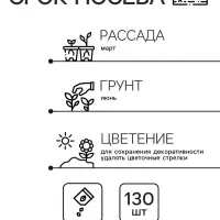 Семена комнатных цветов Колеус "Блюма Радуга", 130 шт.