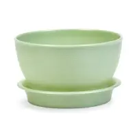 Горшок для цветов с поддоном 0,5 л d12,5см h7 см "Фиалочка" зеленый перламутр