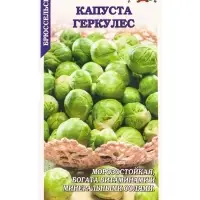 Семена Капуста брюссельская Геркулес /Сотка/ 0,3г/ позднесп. морозостойк. 8-12г/*1200