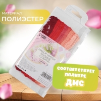 Набор ниток мулине, 8 &plusmn; 1 м, 7 шт, цвет красный спектр