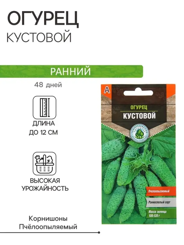 Семена Огурец "Кустовой" раннеспелый, пчелоопыляемый, 0,3 г