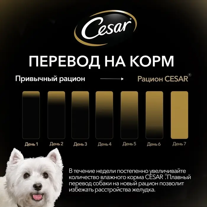 Влажный корм Cesar для собак, ягненок с овощами в соусе, пауч, 85 г