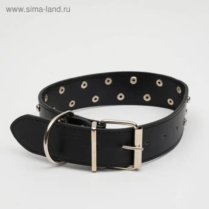 Ошейник клепаный в 2 ряда, 63,5 х 3,8 см, черный