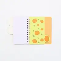 Блокнот с разделителями А7, 40 л "Капибара"