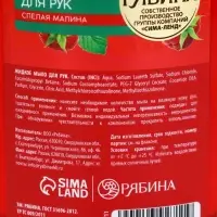 Мыло жидкое для рук, увлажнение и забота, аромат малины, 250 мл, Рябина