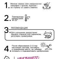 Семена Астра Кассандра  Ор. А Одн Ц/П 0,2г