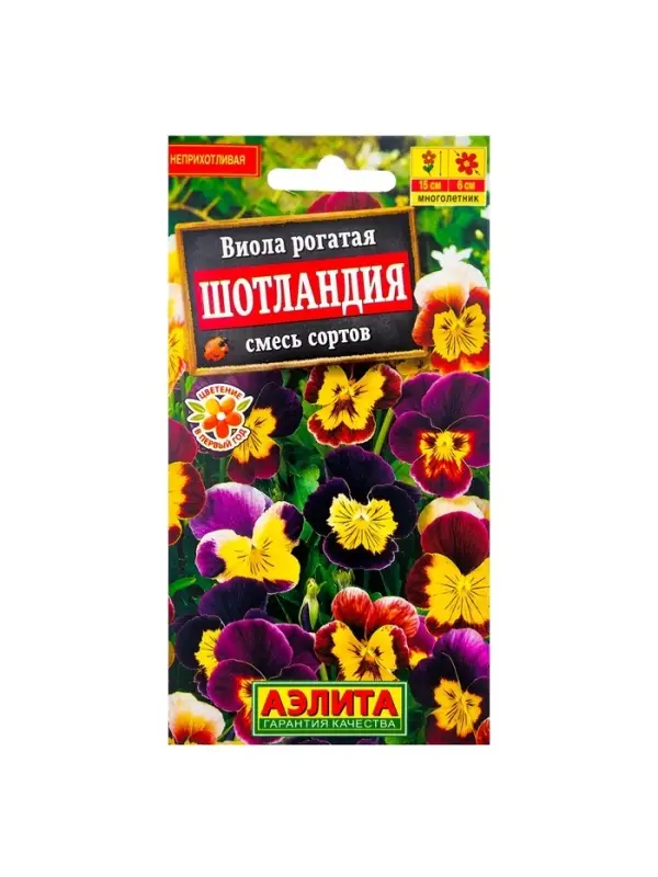 Набор семян Виола "Шотландия", 5 шт.