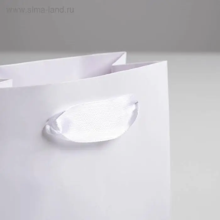 Пакет подарочный, упаковка &laquo;Белый&raquo;, 12&times;15&times;5.5 см