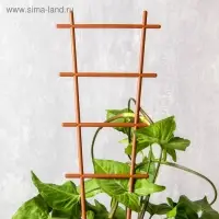 Шпалера, 56 &times; 19 &times; 0.5 см, пластик, цвет МИКС, &laquo;Лесенка&raquo;
