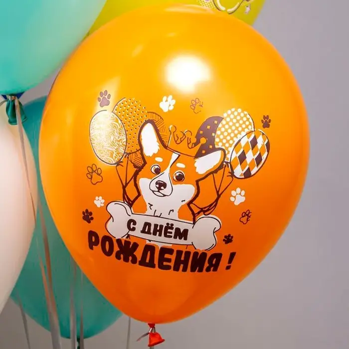 Воздушные шары латексные 12" &laquo;СДР! Веселые животные&raquo;, 25 шт., МИКС